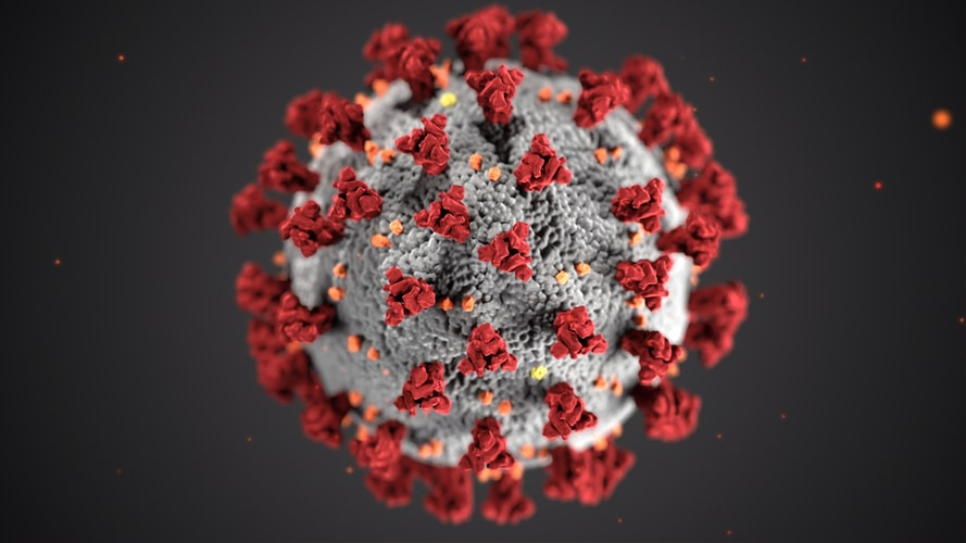 Ученые рассказали, кто может быть невосприимчив к коронавирусу