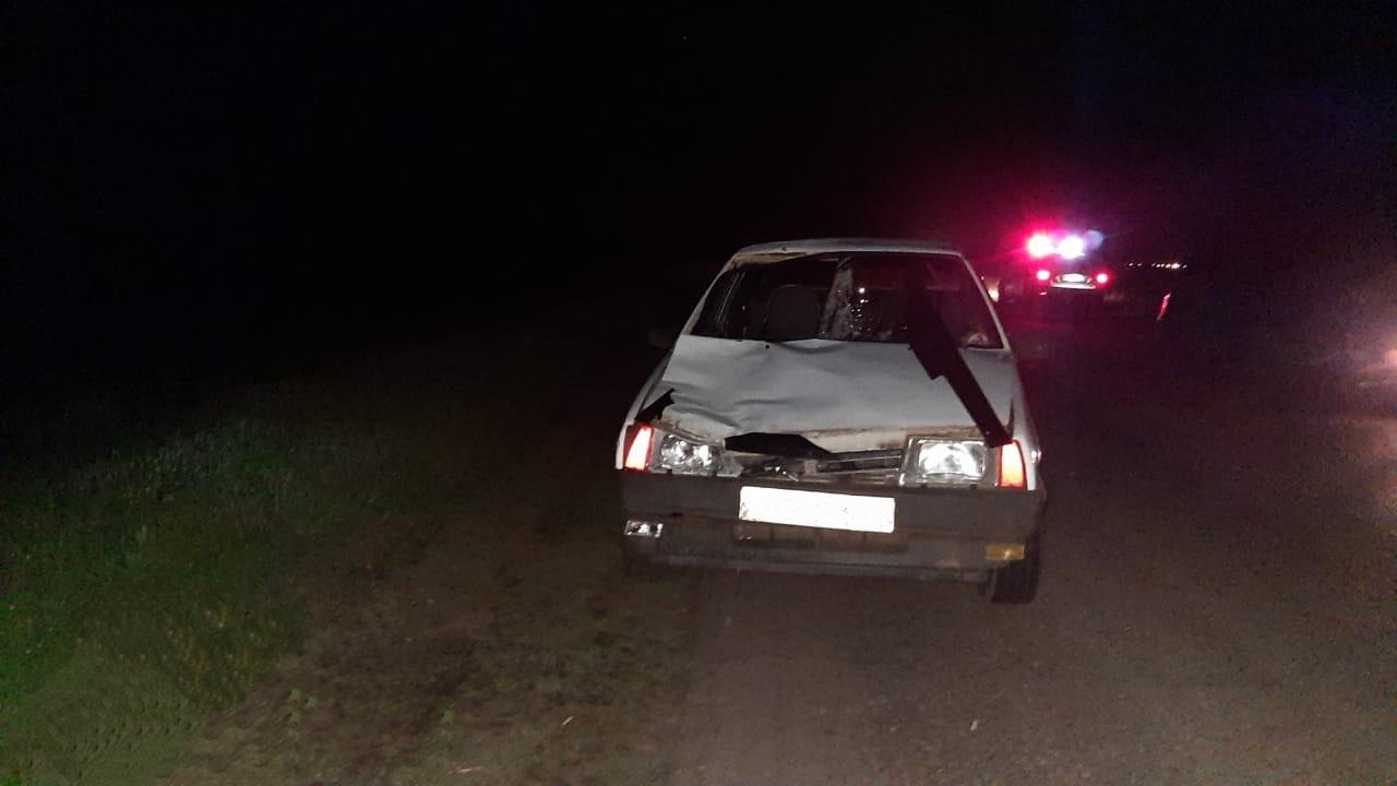 Смертельное ДТП в Мордовии: ВАЗ сбил мужчину, идущего по дороге