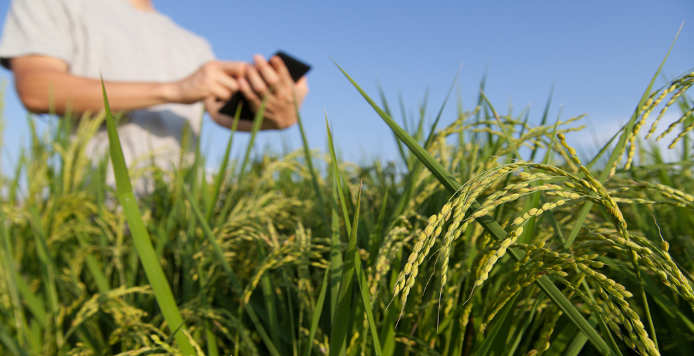 РСХБ и Московский физико-технический институт создают совместную лабораторию по развитию искусственного интеллекта