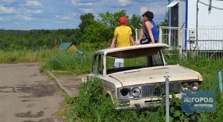 Синоптики рассказали о погоде в Саранске на 14 июня