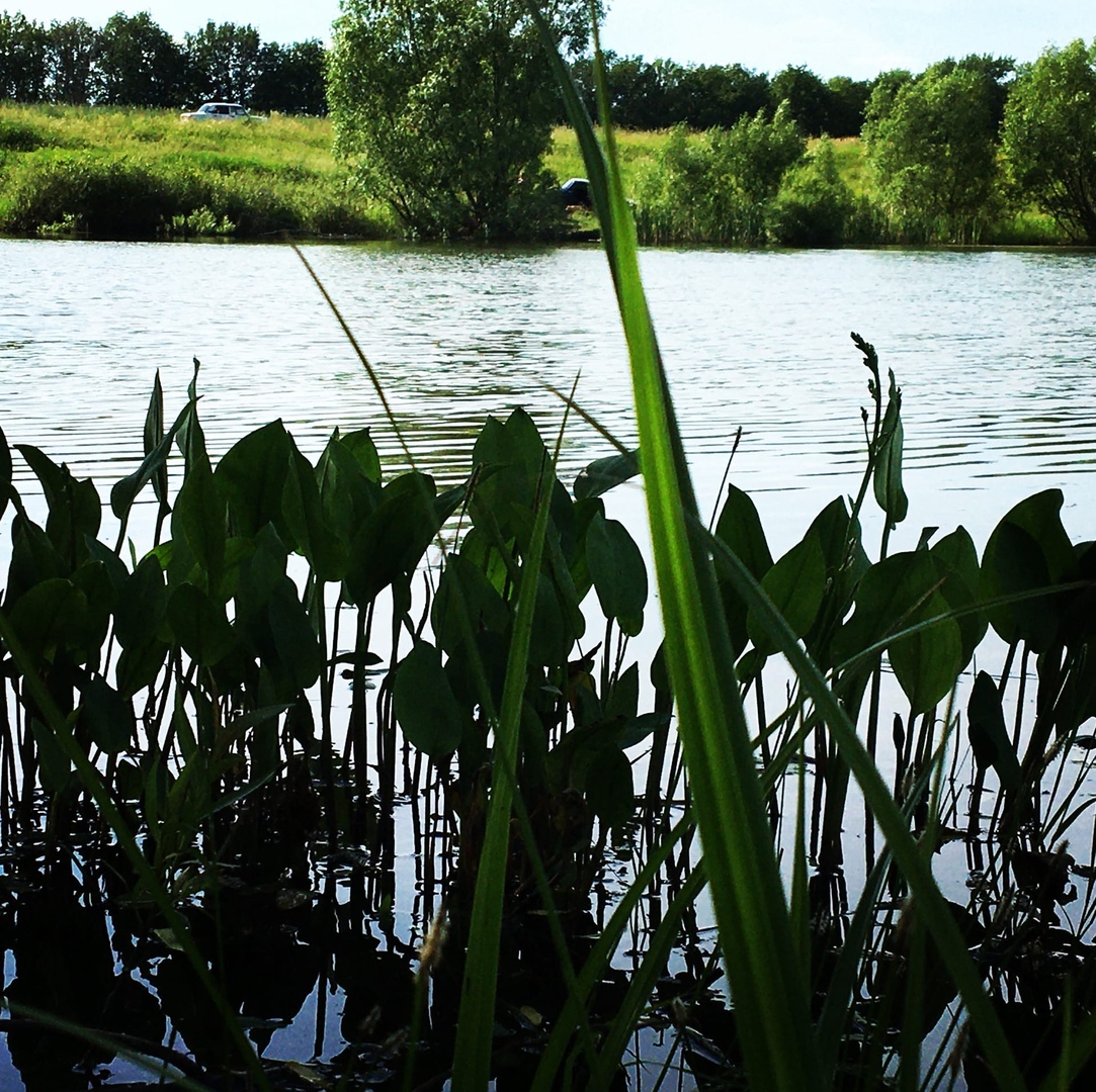 Синоптики рассказали о погоде в Саранске на 22 июня