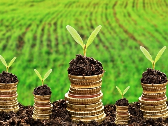 Чистая прибыль АО «Россельхозбанк» за 5 месяцев 2020 года составила 3 млрд рублей