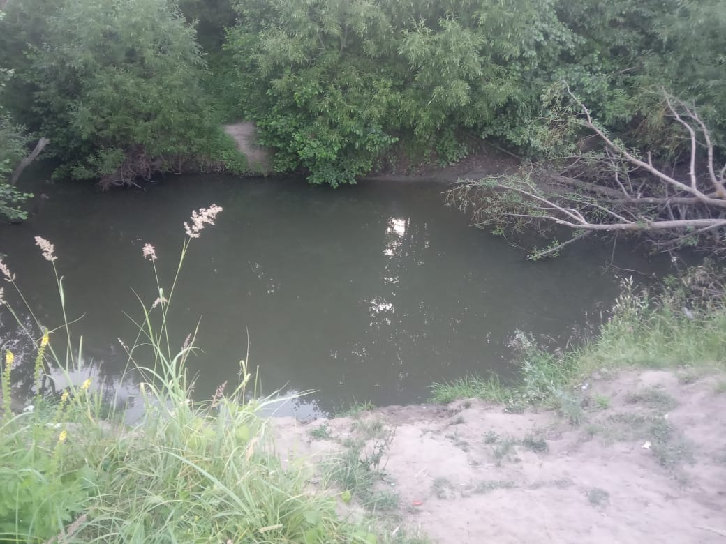 Прыгнул в реку и погиб: Следователи разбираются в обстоятельствах смерти жителя Мордовии