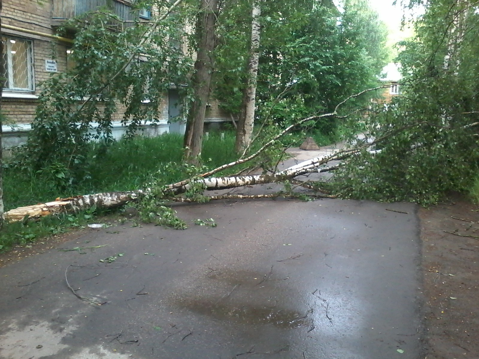 В ближайшие часы на Саранск вновь обрушится ураган