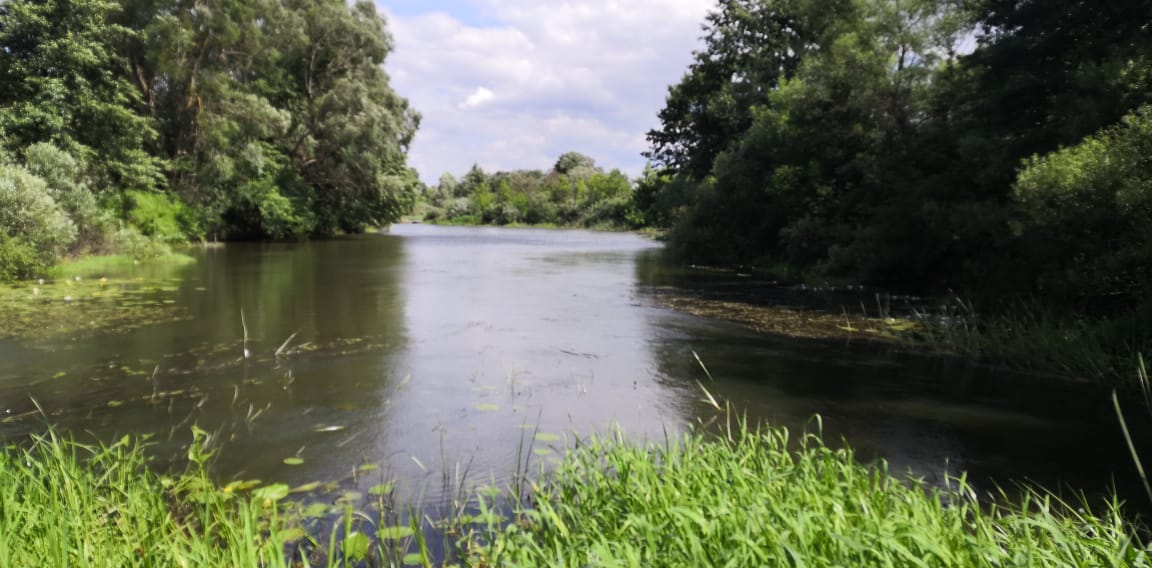 Вынесло на берег реки: В Мордовии нашли тело пропавшего без вести мужчины