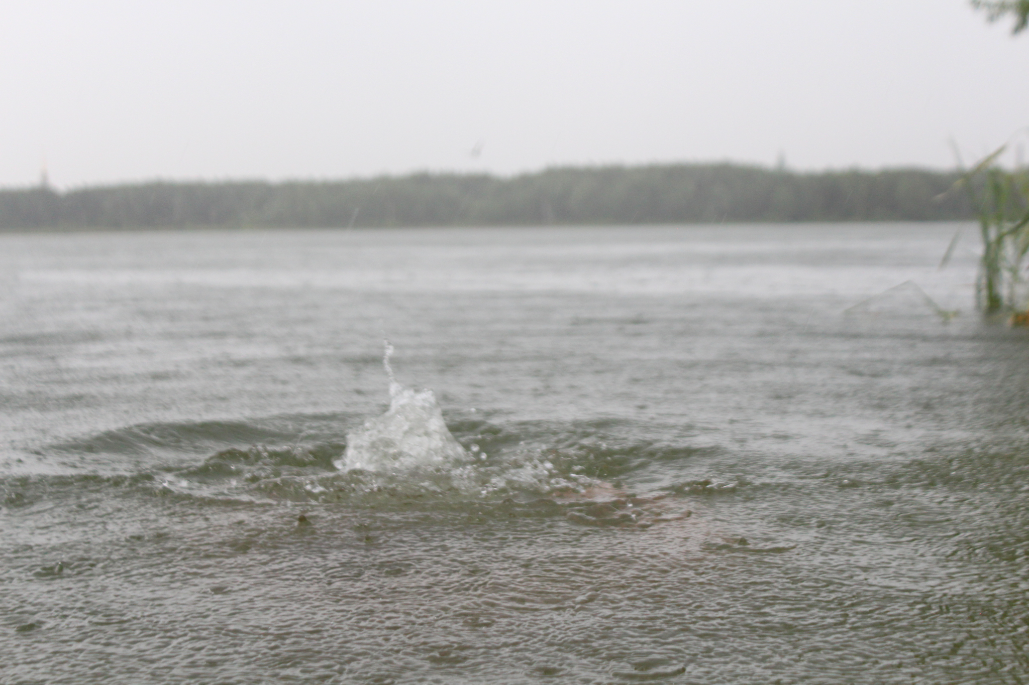 В Мордовии в не оборудованном для купания водоеме утонул мужчина