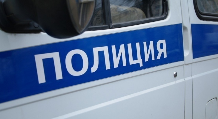 У молодой жительницы Саранска полицейские изъяли «синтетику»
