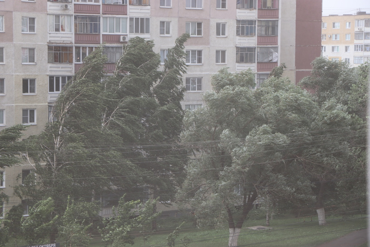 Жителей Мордовии предупредили о сильном ветре