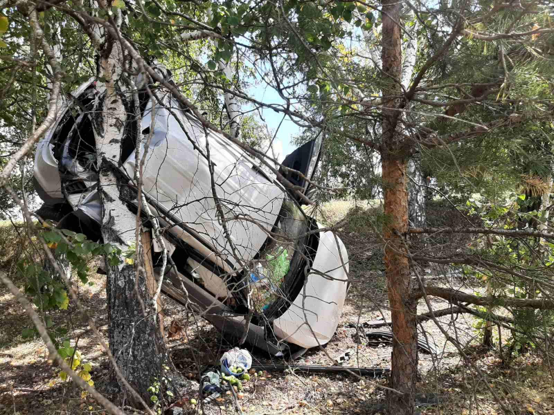 В Мордовии улетевший в кювет автомобиль «остановило» дерево