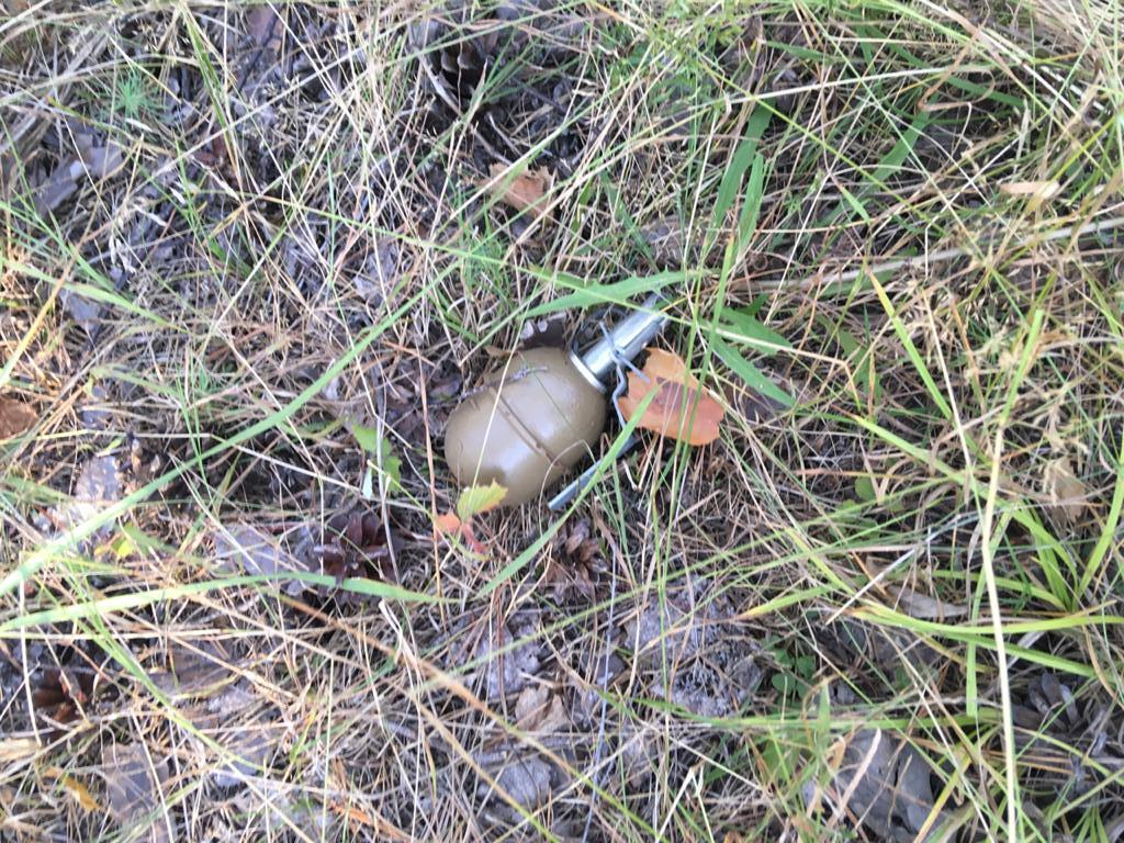 Подросток из Мордовии нашел гранату недалеко от дома