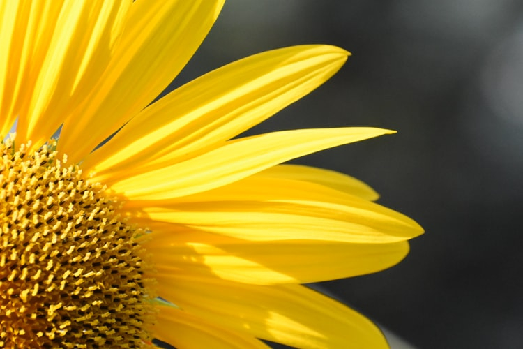 Синоптики рассказали о погоде в Саранске на 3 сентября