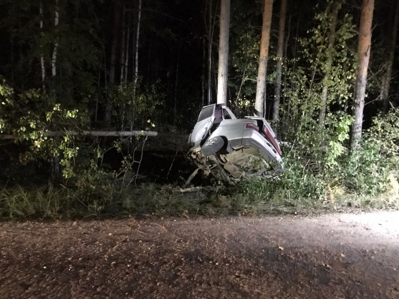 В Мордовии легковушка врезалась в дерево: водитель погиб на месте