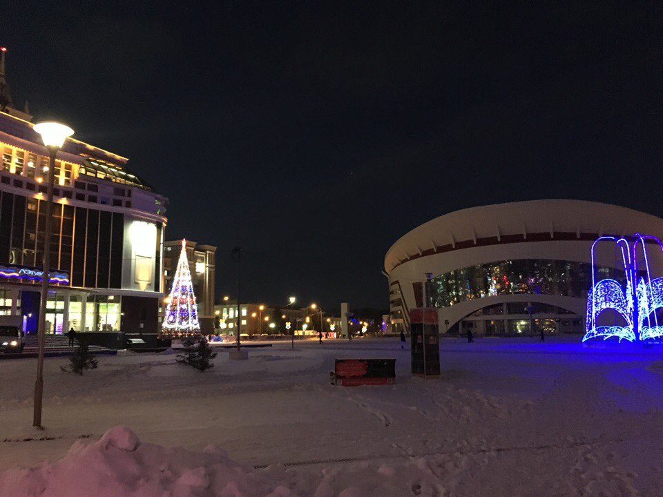 Мэр Саранска поручил разработать концепцию оформления города к Новому году