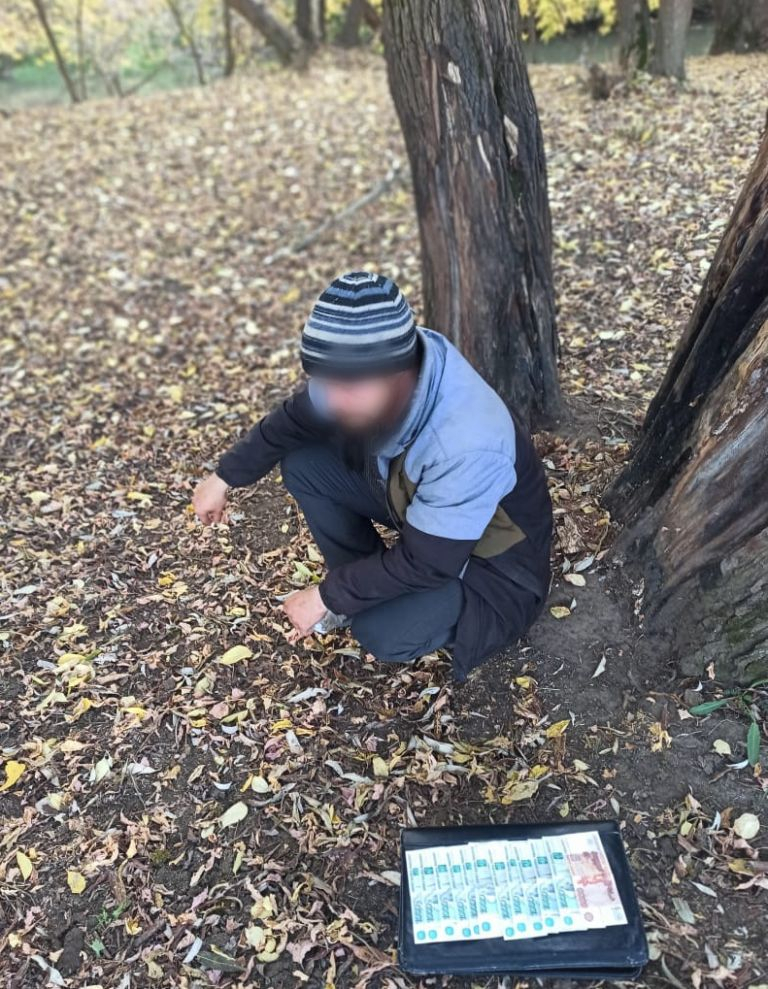 Житель Мордовии украл деньги у односельчанки и спрятал их в стволе дерева