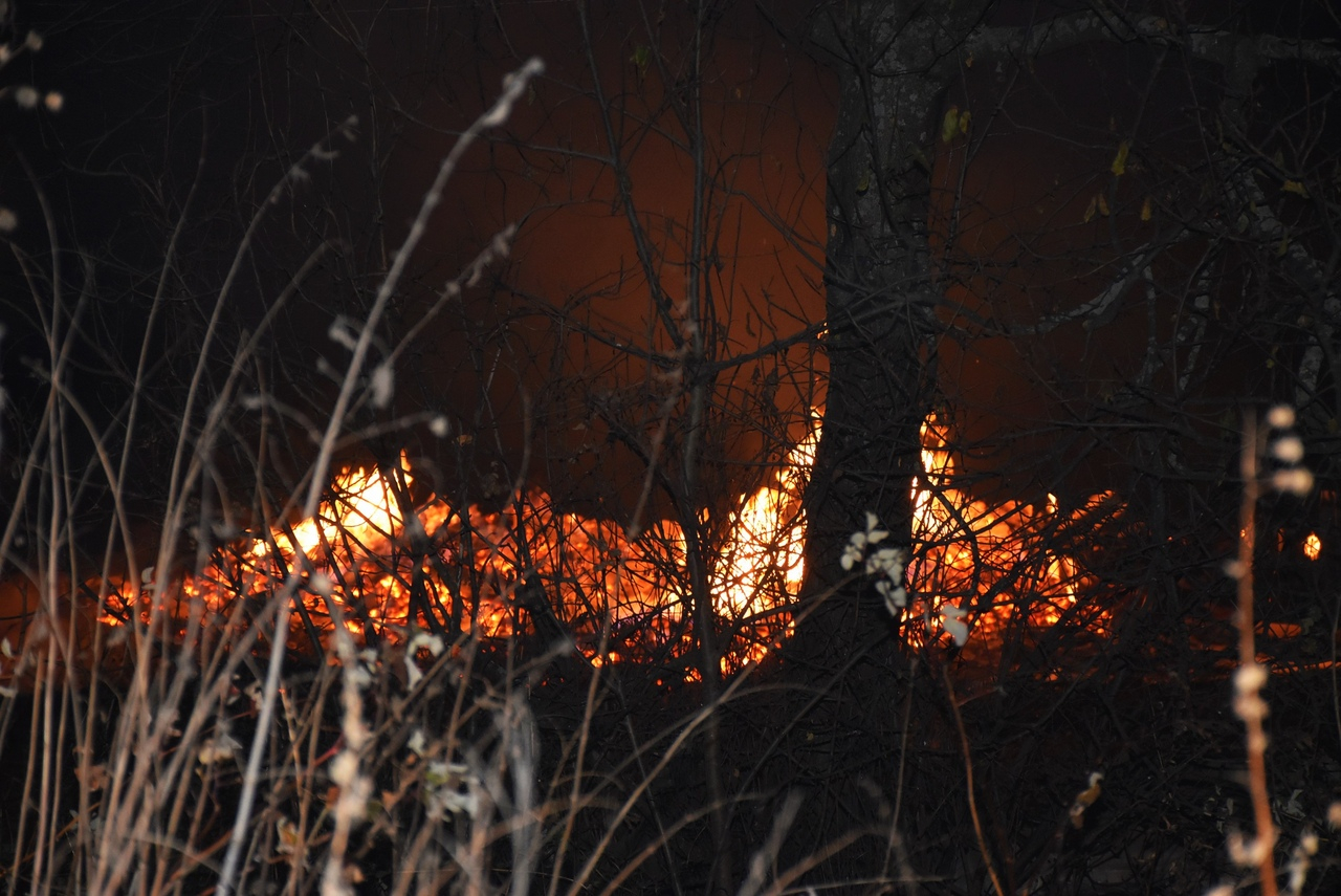 МЧС Мордовии: из-за горения сухой травы могут возникнуть крупномасштабные пожары