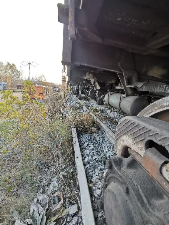 Вагон грузового поезда сошел с рельсов в Мордовии