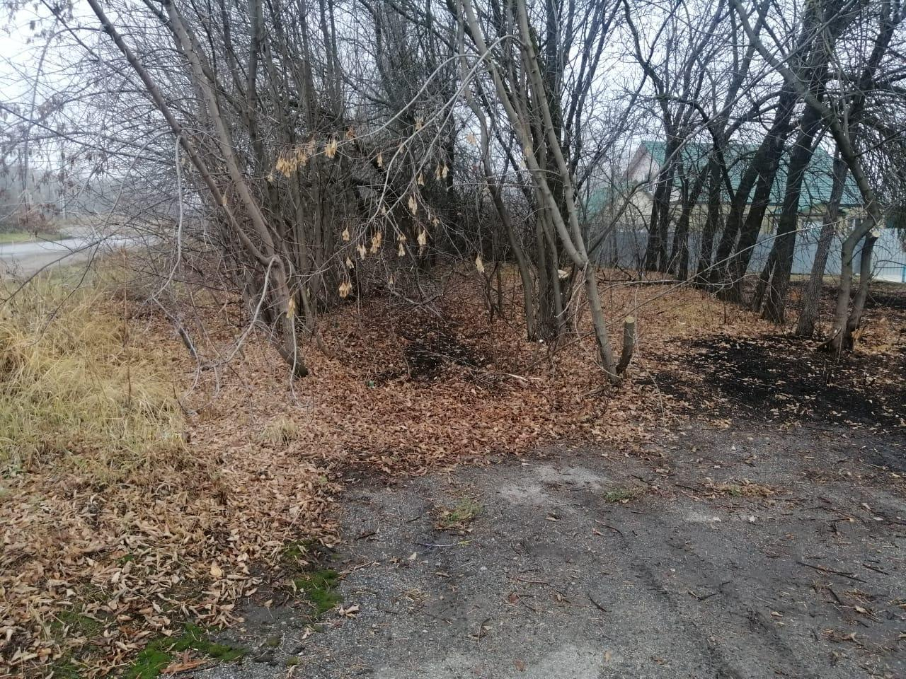 В Мордовии водитель «ВАЗа» съехал в кювет и врезался в дерево