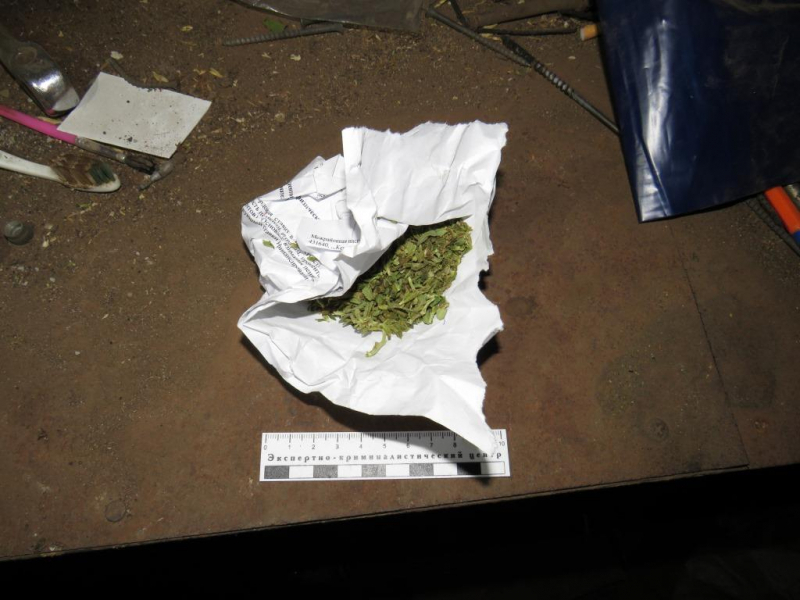У жителя Мордовии изъяли около полутора килограммов наркотиков
