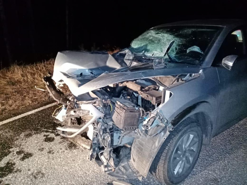 В Мордовии столкнулись трактор и иномарка: пострадали двое