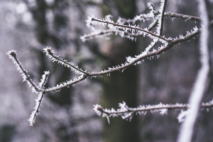 МЧС предупреждает жителей Мордовии об аномально холодной погоде в ближайшие дни