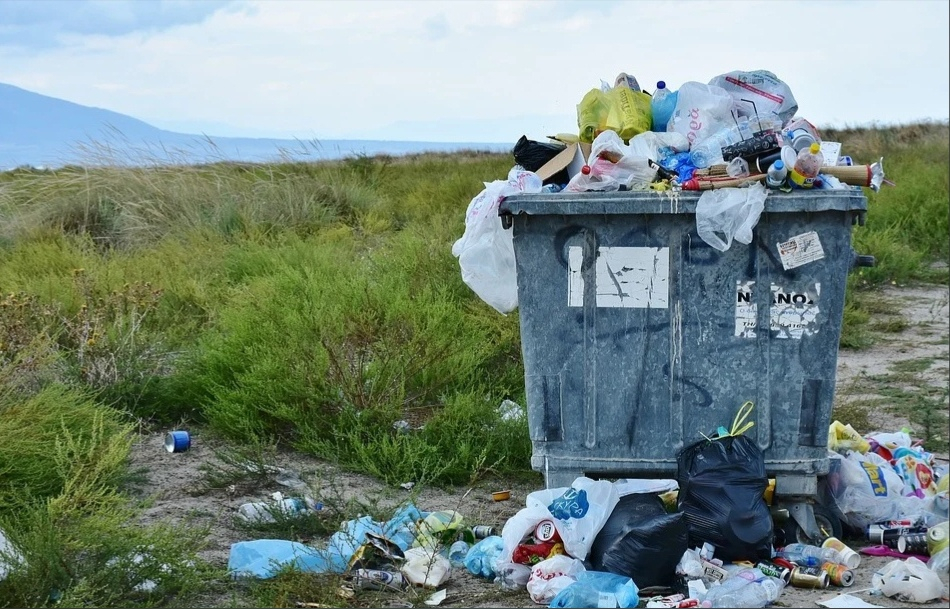 В Мордовии появится завод по переработке мусора