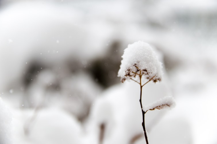 Синоптики рассказали о погоде в Саранске на 3 января