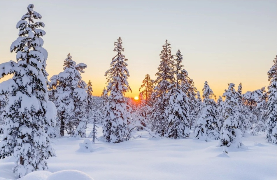 Будет еще холоднее: синоптики рассказали о погоде в Саранске на 8 февраля