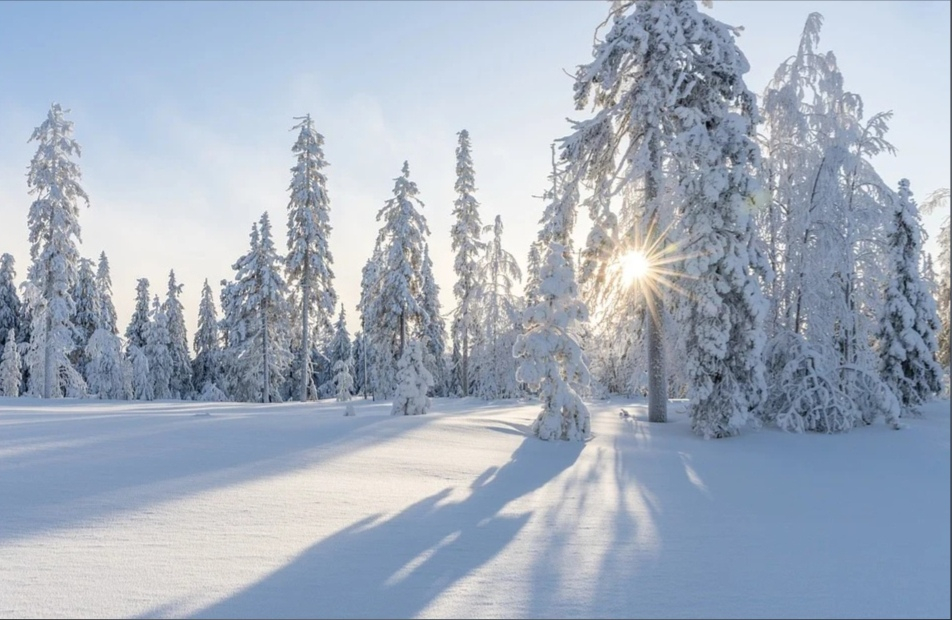 Мороз и солнце: прогноз погоды в Саранске на 16 февраля
