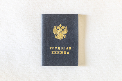 В России появятся трудовые книжки нового образца