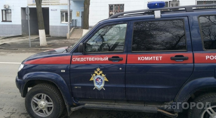 Житель Мордовии забил насмерть молодую девушку