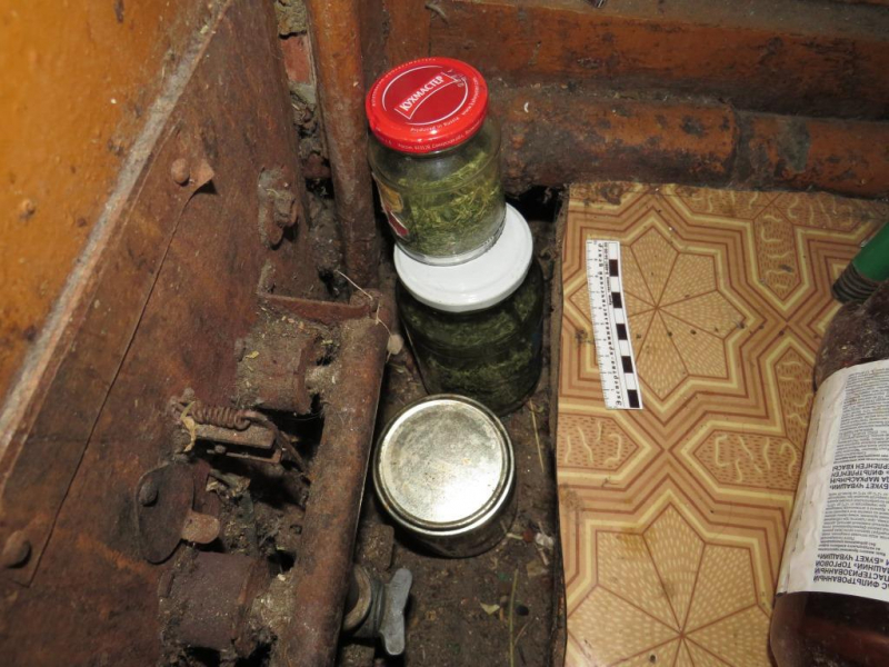 Житель Мордовии украсил подпол дикорастущей коноплей в цветочном горшке