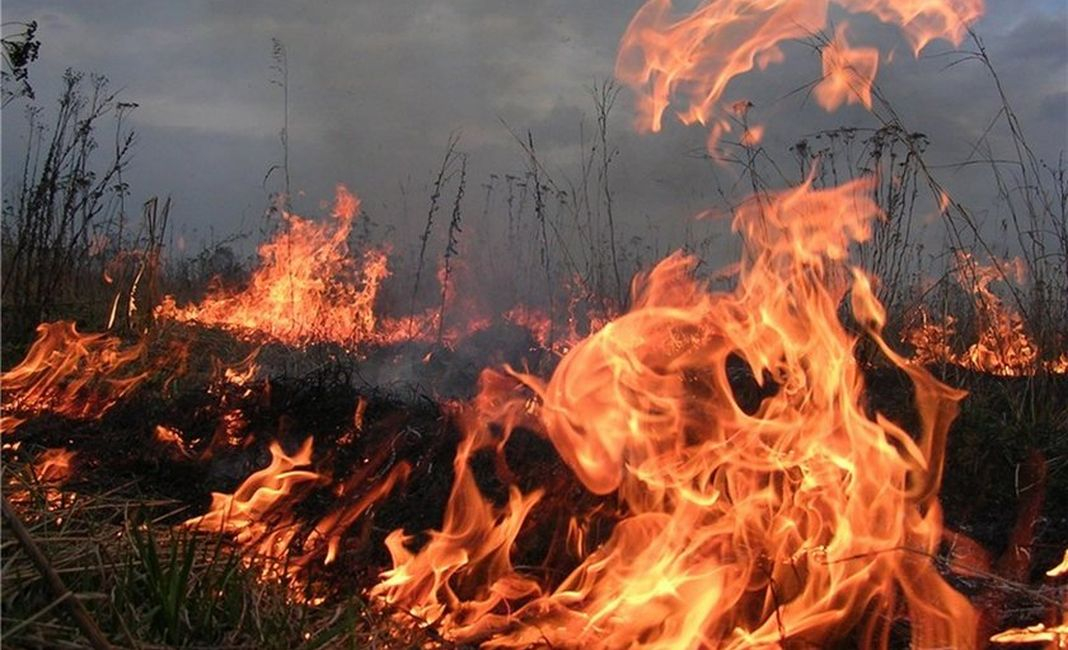 При возгорании травы 93-летняя жительница Мордовии получила ожоги 83% тела