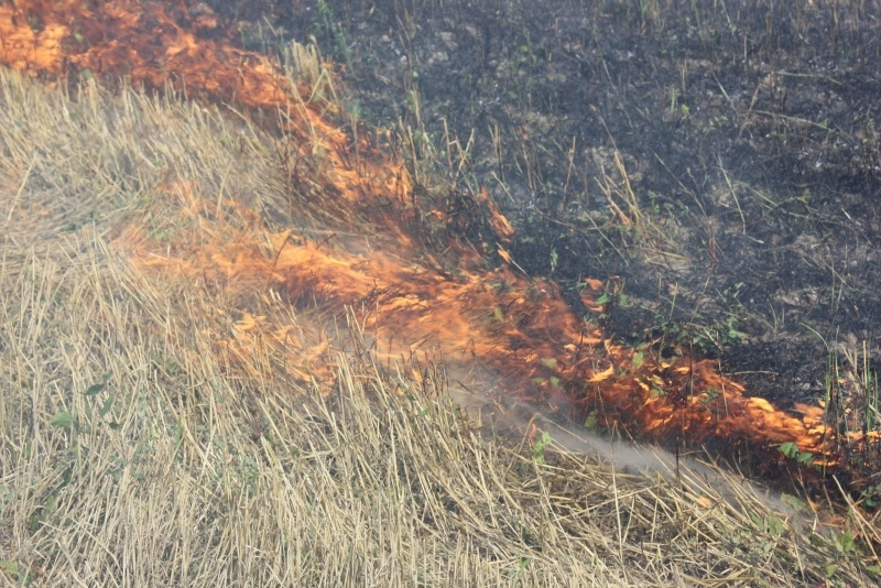 В Мордовии пожарные за минувшие сутки двадцать раз тушили сухую траву