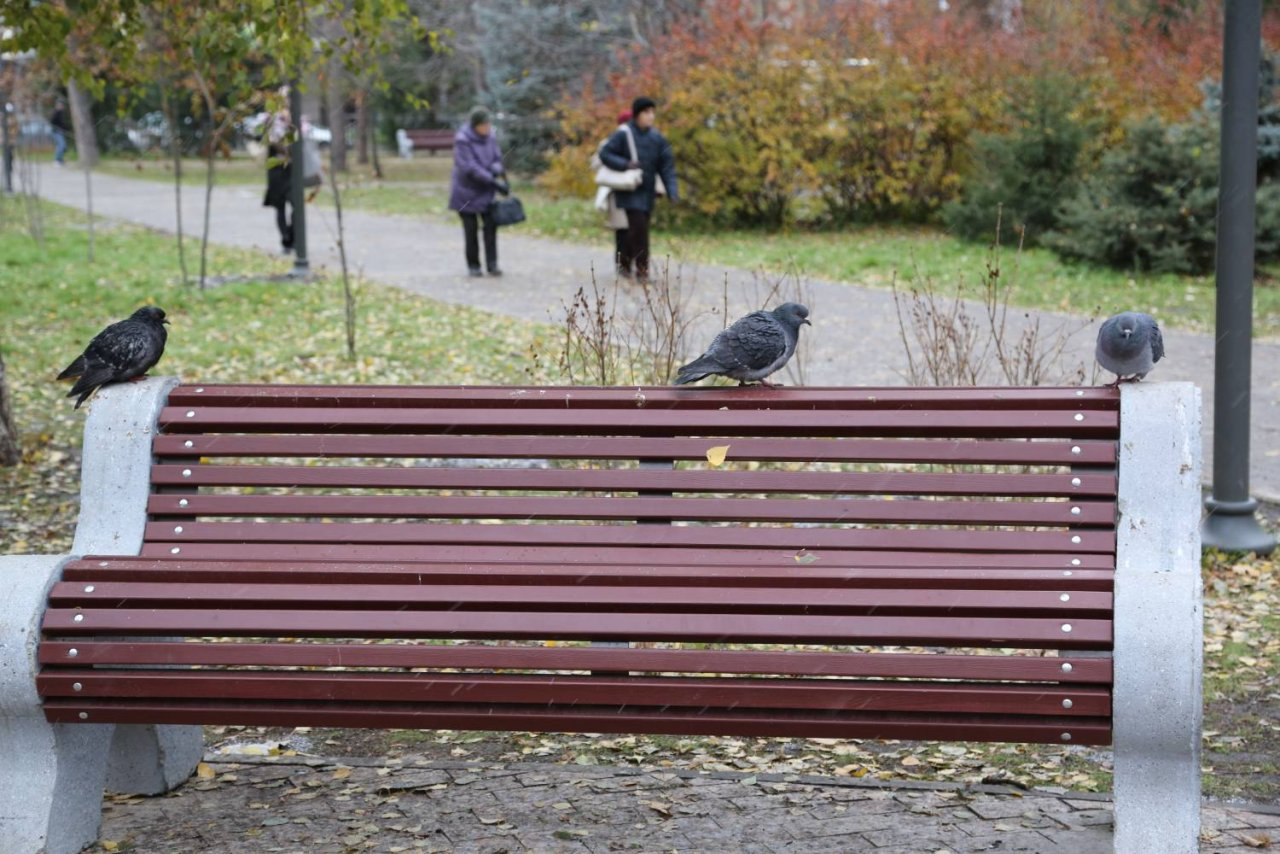 В Саранске поставят около 1200 скамеек