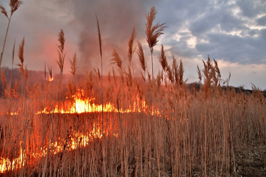 В Мордовии из-за пала сухой травы сгорели 12 домов и дач