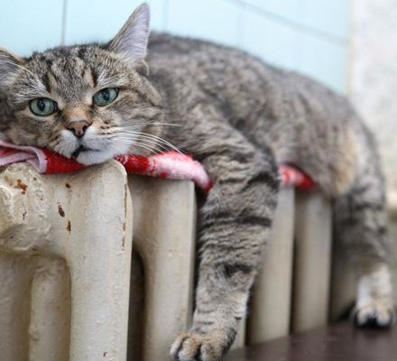 В Саранске отложено завершение отопительного сезона