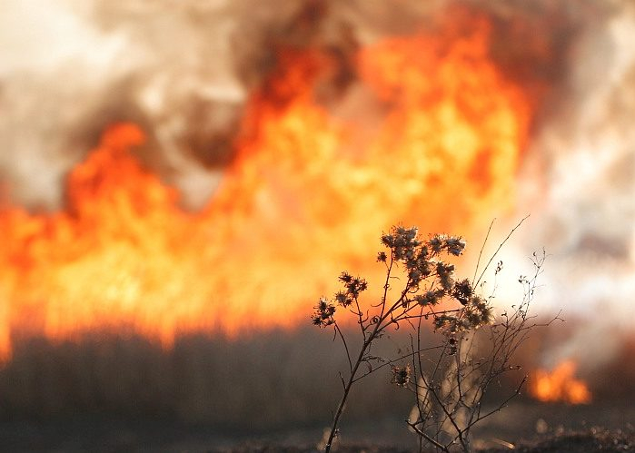 В Мордовии было ликвидировано более 700 пожаров из-за возгорания травы и мусора