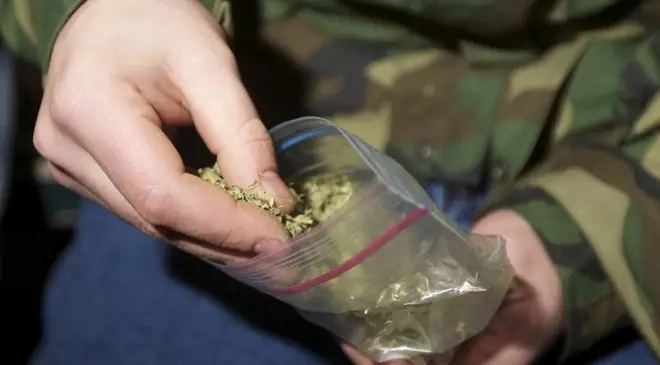 Полицейские обнаружили марихуану у безработного жителя Саранска