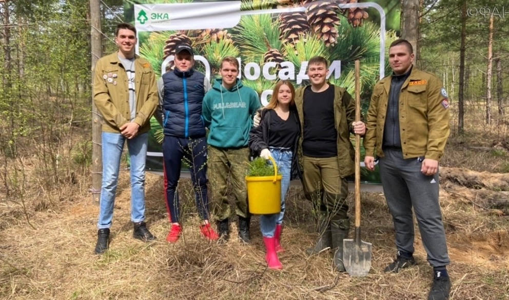 Жители Мордовии высадили 8 тысяч сосен