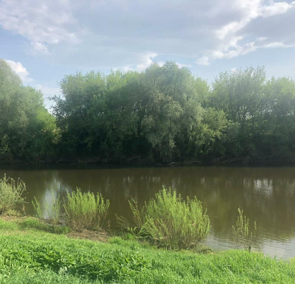 В Мордовии восьмилетний мальчик утонул в реке Алатырь