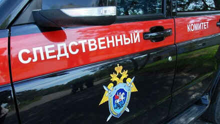 В Саранске ищут очевидцев ДТП на пешеходном переходе, в котором погиб мужчина