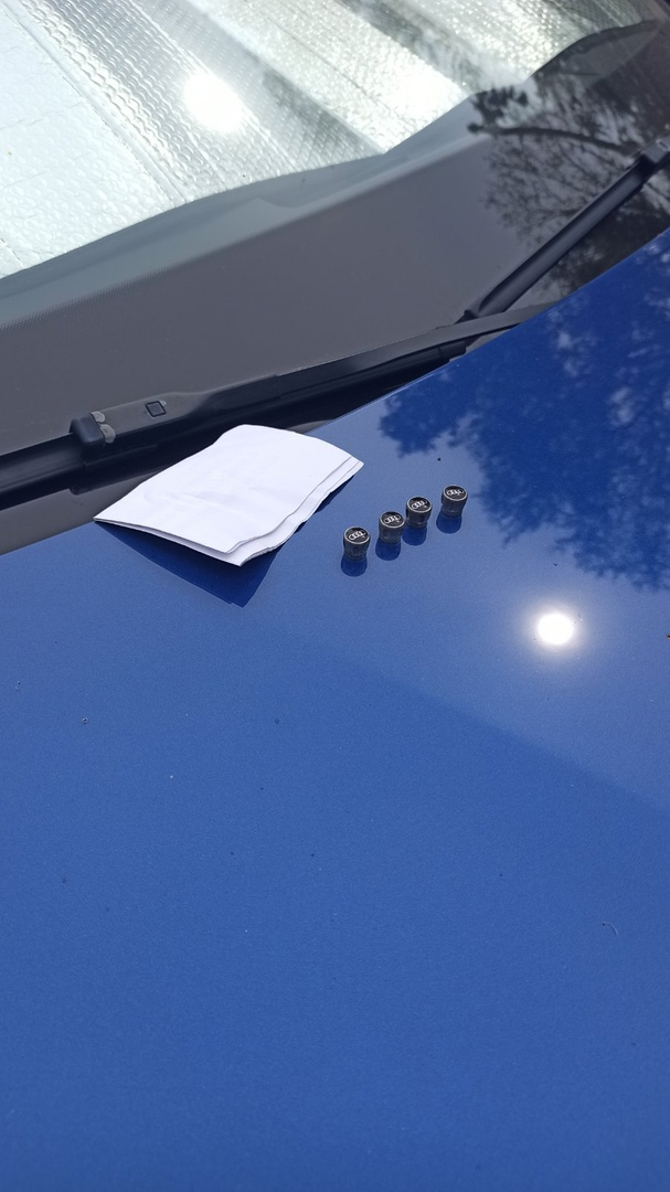 В Саранске тиктокеры, скрутившие колпачки с Audi Q7, вернули украденное и извинились