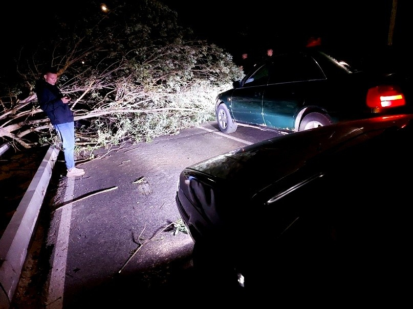 В Саранске шквалистый ветер повредил около 50 деревьев, последствия ликвидировали ночью