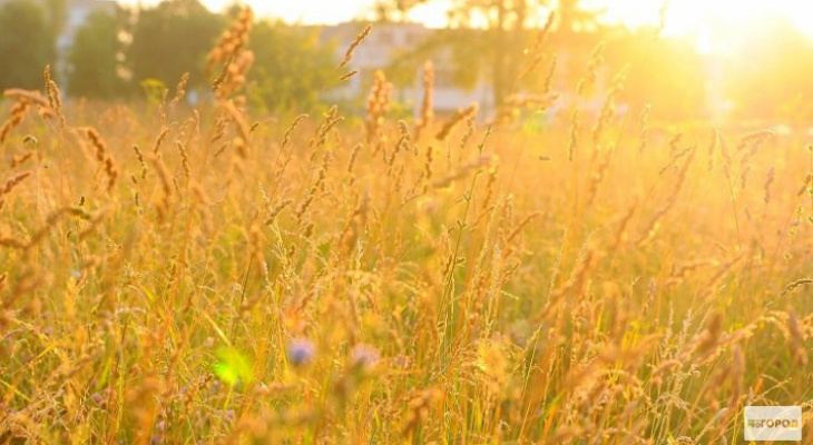 Синоптики рассказали о погоде в Саранске на предстоящую неделю
