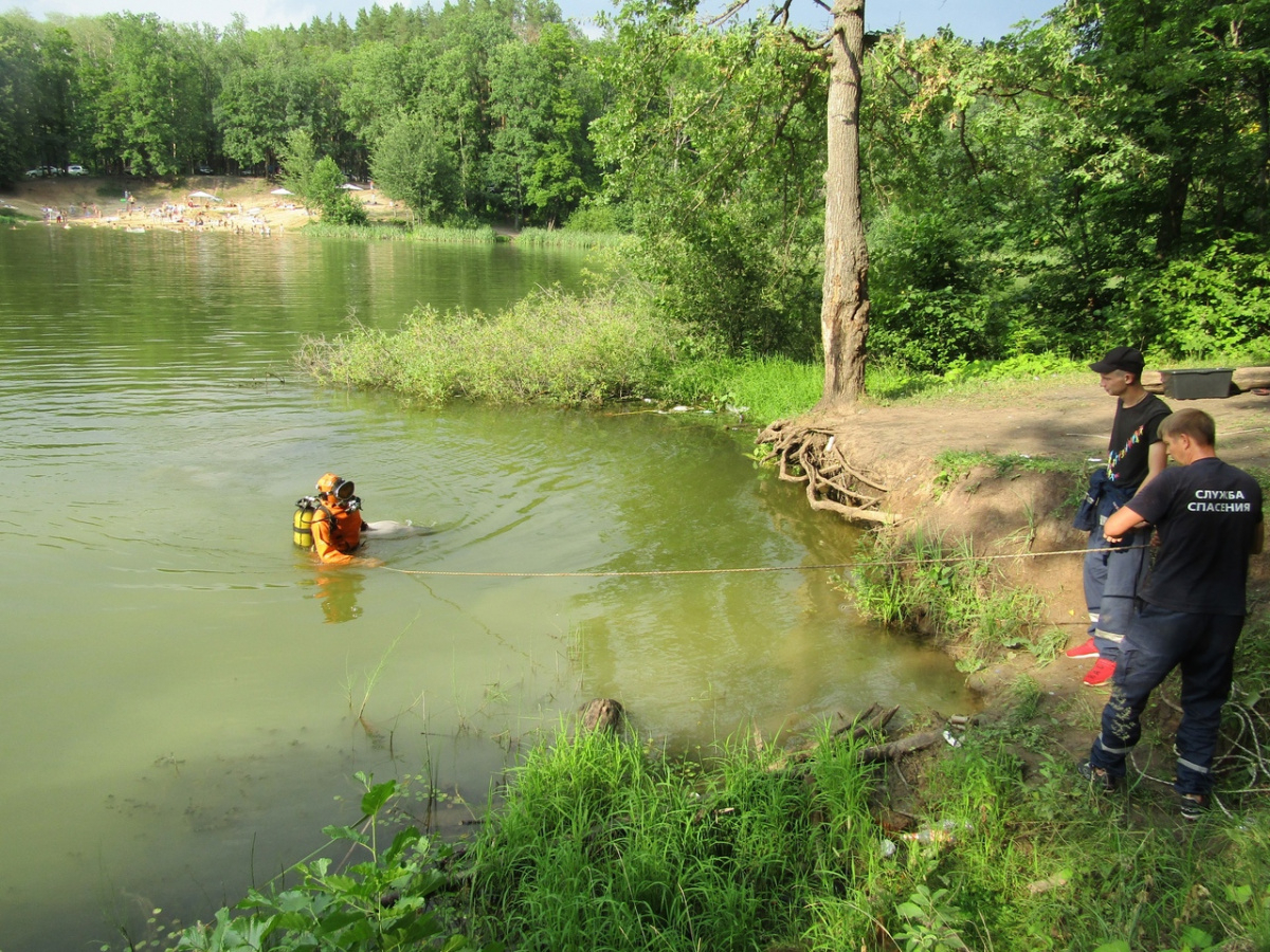 47-летний житель Саранска утонул в Лесном озере в десяти метрах от берега