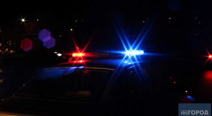 В Мордовии пьяный мужчина без прав на ВАЗе протаранил дерево и сбежал с места ДТП