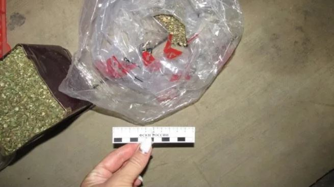 У жителя Саранска изъяли более 200 граммов марихуаны, которую он хранил в гараже
