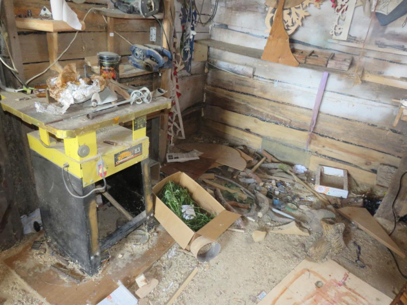 В Краснослободском районе Мордовии у местного жителя изъяли марихуану, спрятанную в сарае