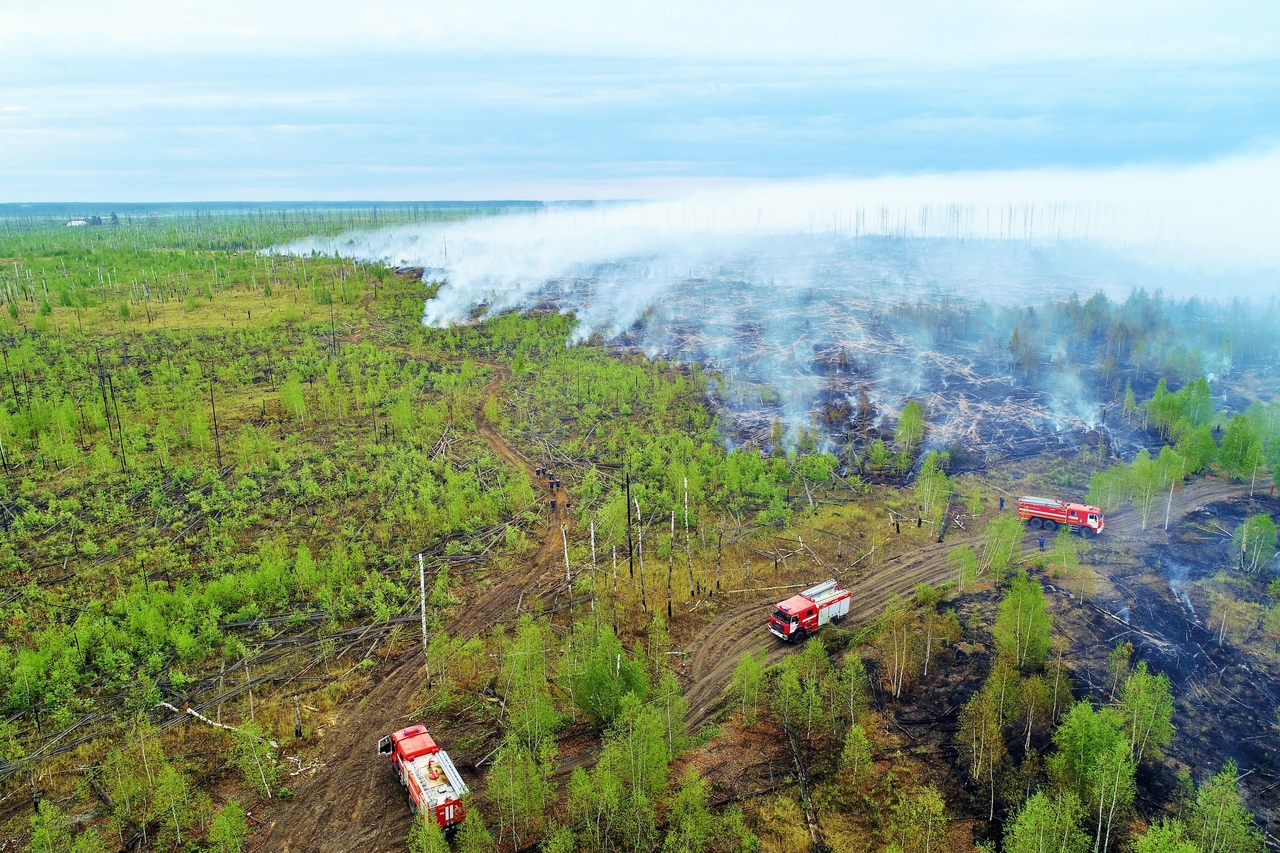 Площадь пожара, возникшего в Мордовском заповеднике, превысила 3 тыс. га