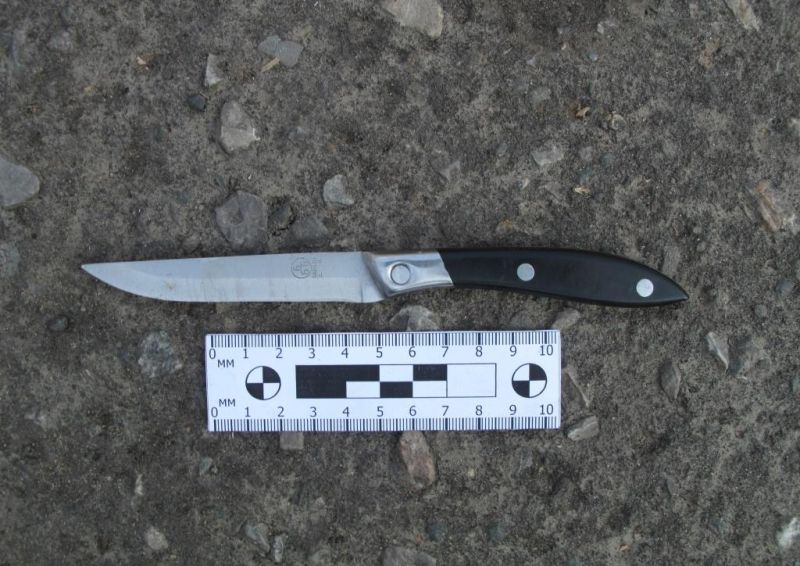 Двух посетителей кафе, заступившихся за даму в Саранске, ранили в ягодицы ножом